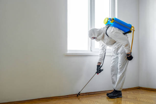 Trusted Remsenburg Speonk, NY Pest control Experts